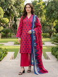 NISHAT KHADDAR